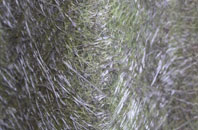 Kincaple fibreglass roof work